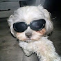 Hix Avatar