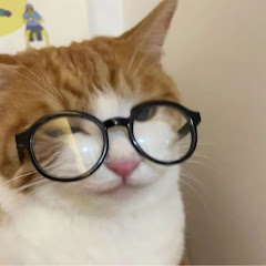 qqmovie