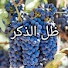 MmXfNVC6v8w-channel-avatar-ظل الذكر