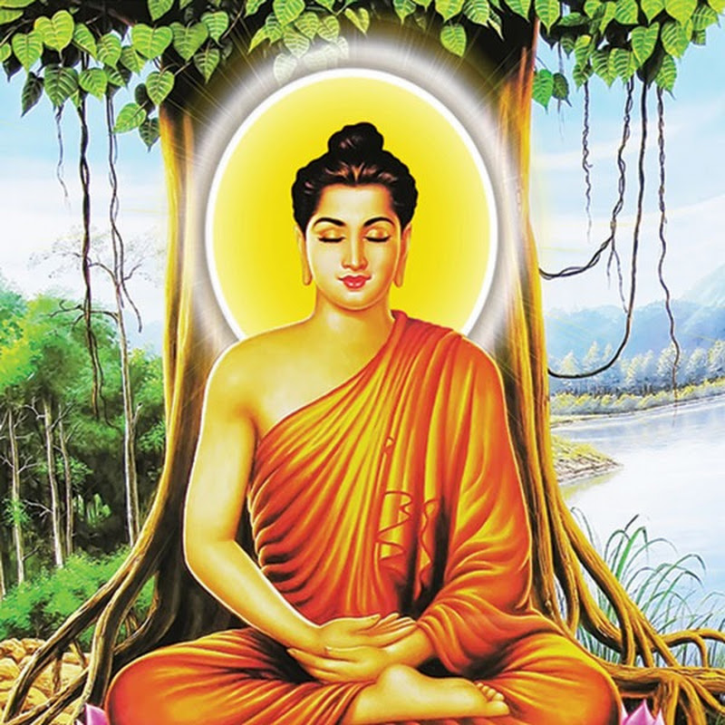 PHẬT PHÁP NHIỆM MÀU PLUS