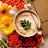 @assenavecnarf2159 Avatar