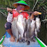 fB3QIQgOr6c-channel-avatar-Udin pokpok