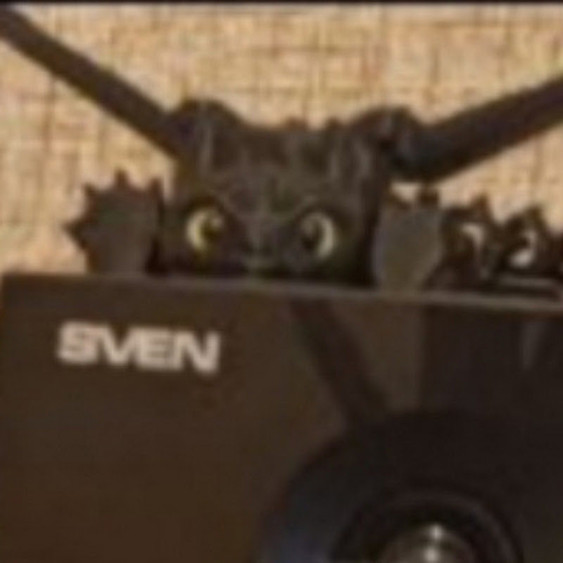 Maxim Ryden