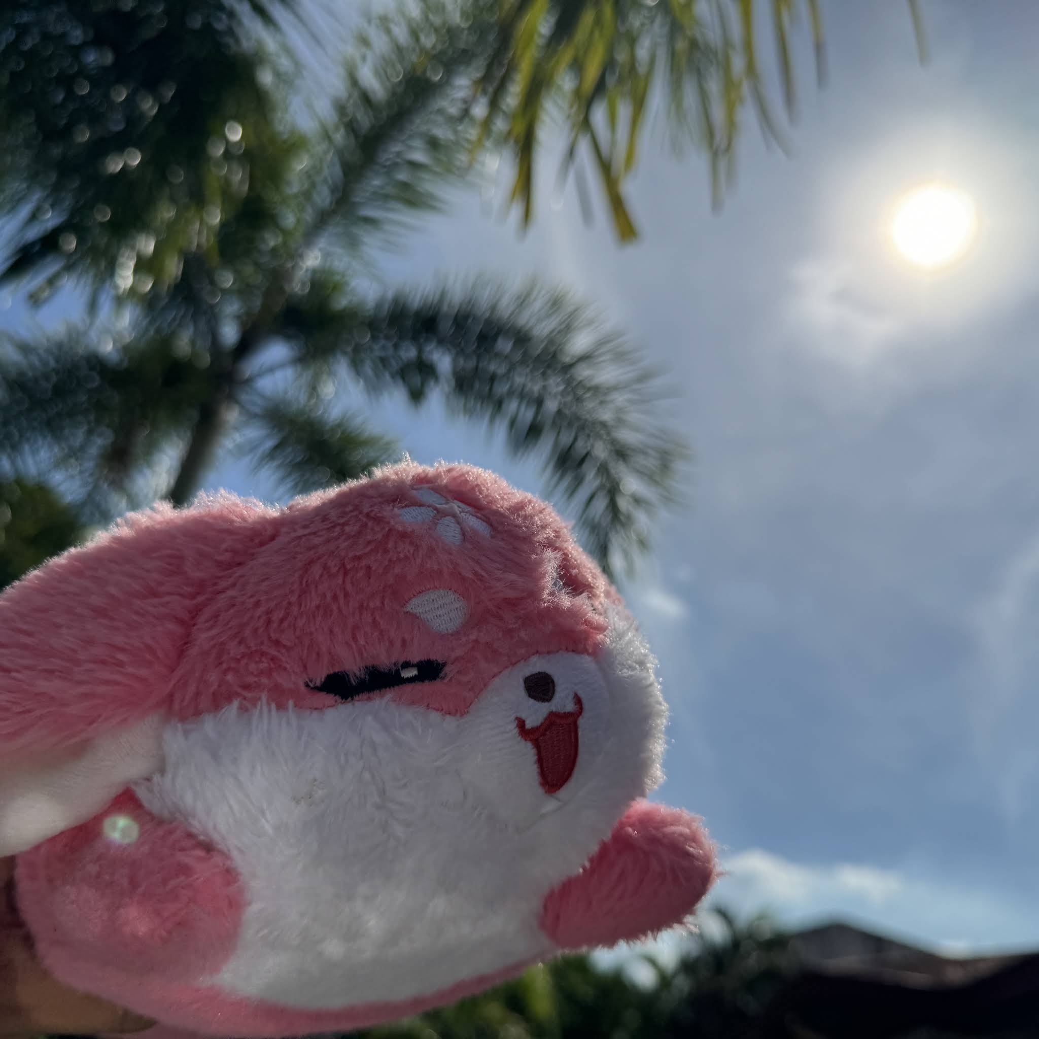 Post from JxCD