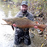 8fPg1-FHpVA-channel-avatar-FLYFISHINGMANIA (Filip Apjár)
