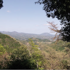 趣味は貯金アイコン画像