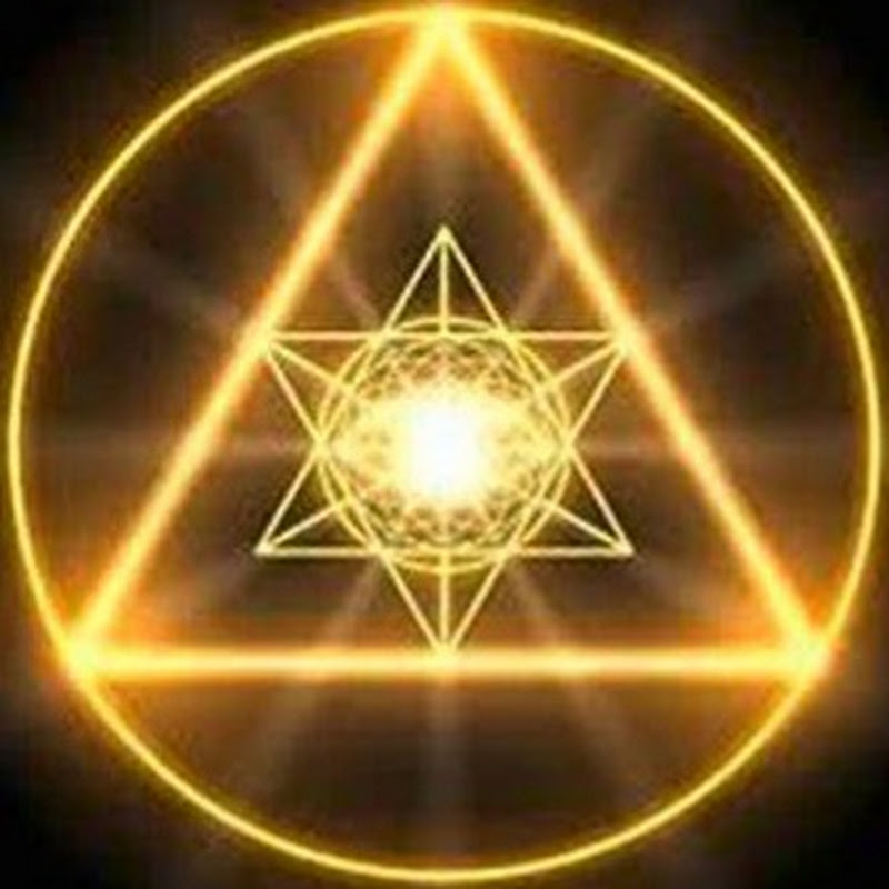 秘密の占い研究所