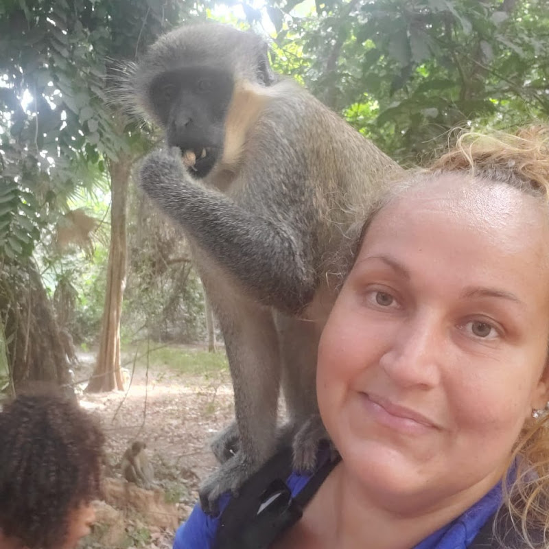 African Sanctuary