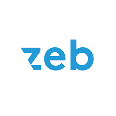 zeb.consulting net worth