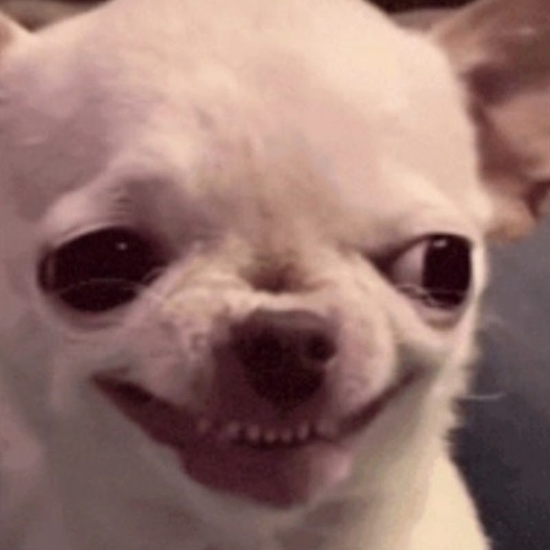 Hire VEERJEET~editz — Celebrity News & Gossip YouTube creator for sponsorships