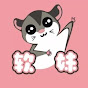 Ruanmei's sugar glider can fly