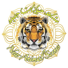 مشاهد حيوانات جديده