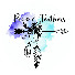 bVqZh9bVubI-channel-avatar-Pine and Feathers