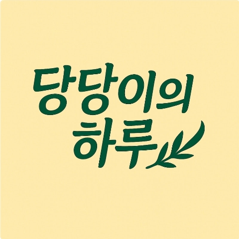 당당이의 하루