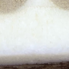 こんにゃく短いねチャンネル