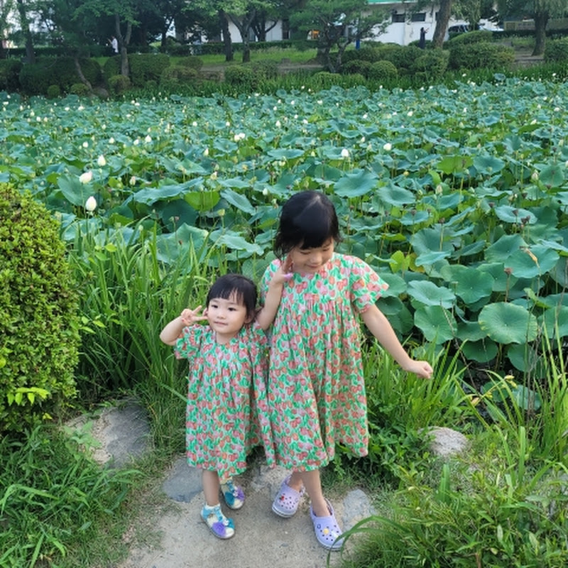 인정파파