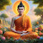 Bodhi Insights Gyan