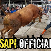 Sapi Official