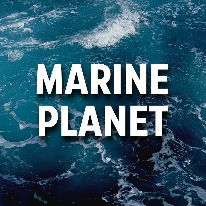 Marine Planet