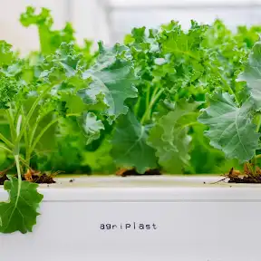 Agriplast Protected Cultivation YouTube channel