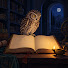 QJTuPR6oLZw-channel-avatar-The Quiet Chronicle