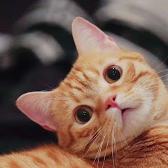 さおり