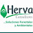 HerVa Consultores