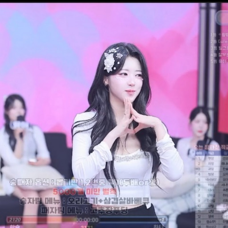 하나비 불꽃채널 Hanavi 팬더티비