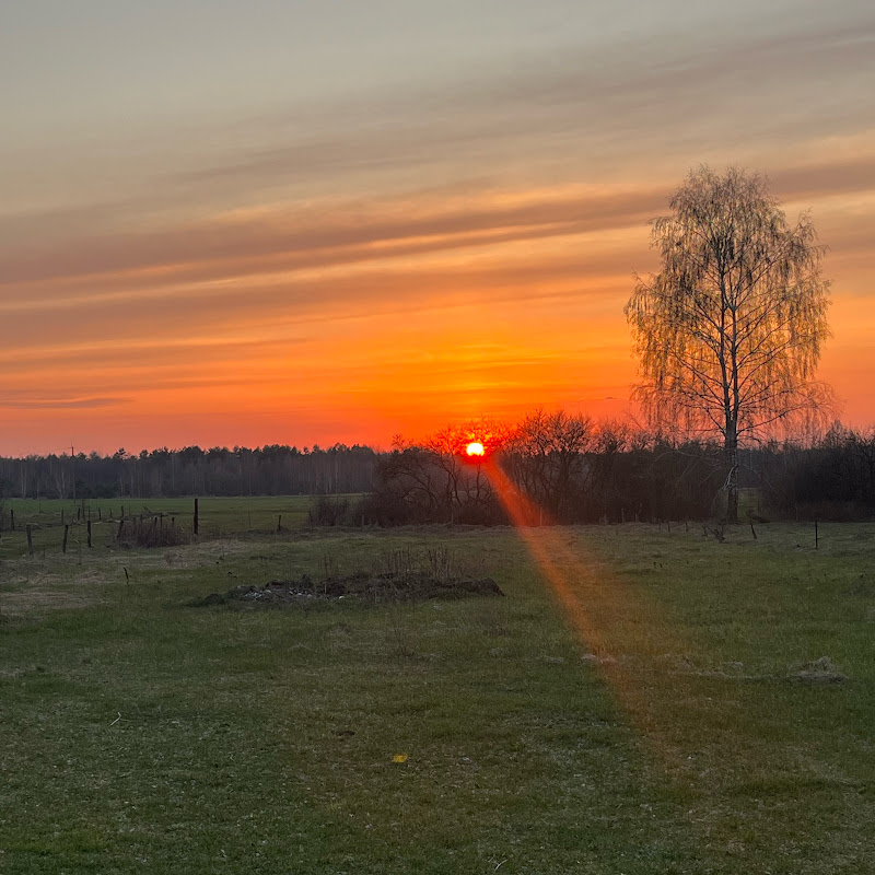 Тепличный бизнес