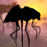 woH44h_GcDw-channel-avatar-Savle Strides Tamriel