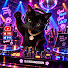 rXZtrJjvffY-channel-avatar-깜순MUSIC