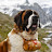 Saint Bernard