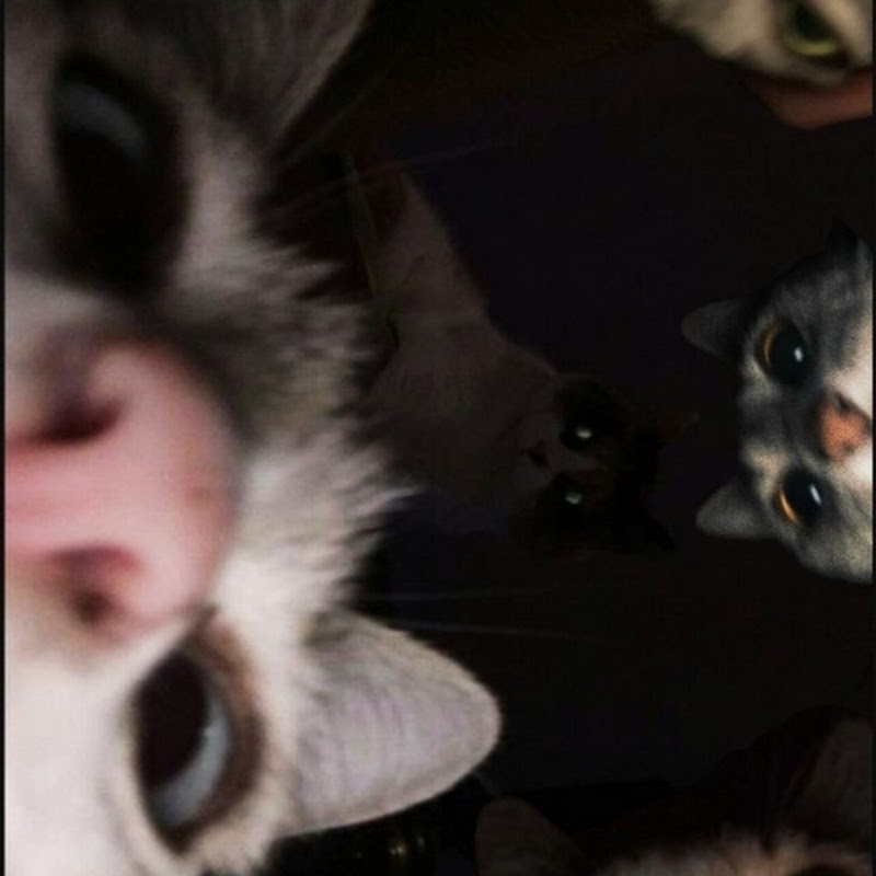 Itsmedivyaa
