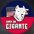 rX7T2gRm42I-channel-avatar-Canil do gigante
