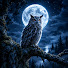 xH5-OukPLWU-channel-avatar-Midnight Owl Music