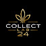 mkB2bapzUWM-channel-avatar-COLLECTLAB24