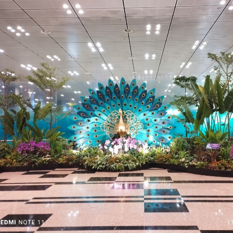 Singapore visit 