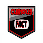 Curious Facts24 logo