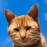 9920gSJpxMo-channel-avatar-Yunna_2876