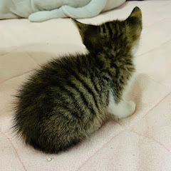 ここみんchannel★