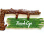 Hawk Eye logo