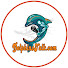crxKAiP10R4-channel-avatar-DolphinsTalk Podcast Network
