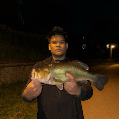 BRVDDYBASSIN