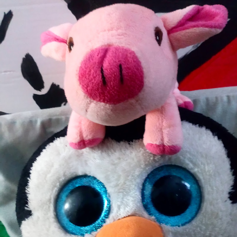 Pigster20