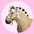 4izd217Ih8E-channel-avatar-EV Equestrian
