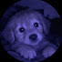 TL8UktUWZ-U-channel-avatar--` Kitagawa ´-