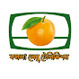 কমলা লেবু টেলিভিশন  logo