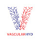 Dr. Rahul Agarwal Vascular Surgeon  logo