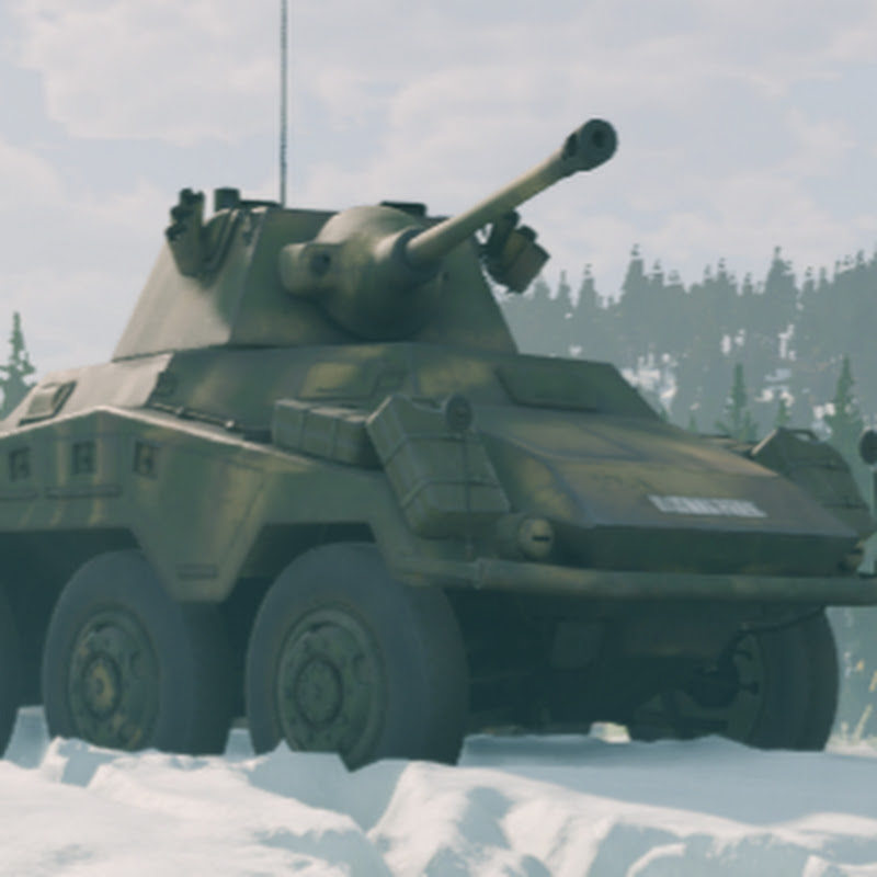 Hidden Puma