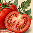 iqK6wpKnVz4-channel-avatar-Food code2